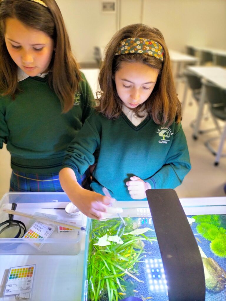 Colegio privado bilingüe en Gijón La Corolla