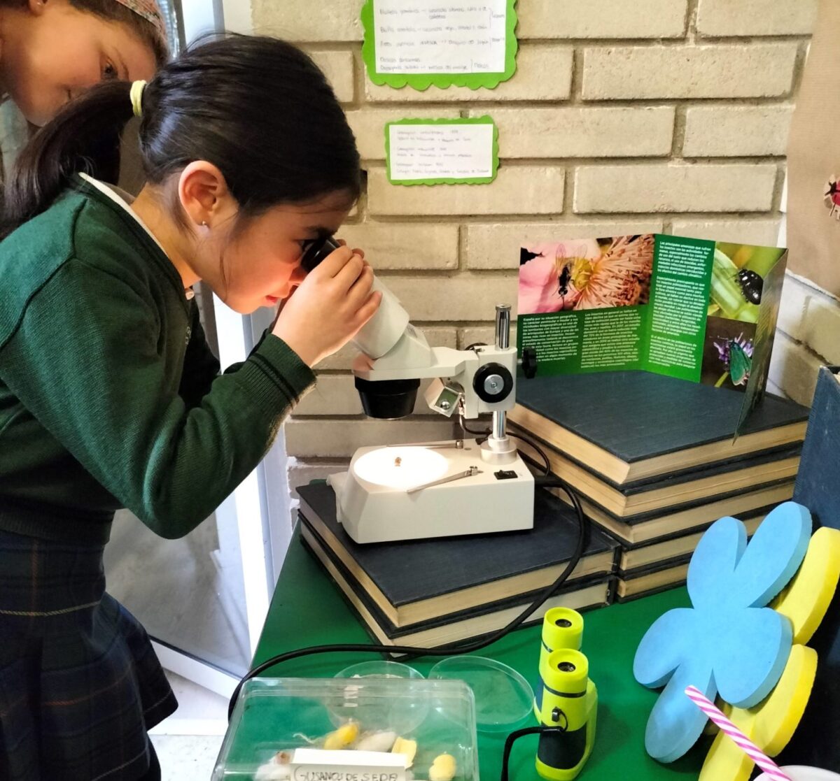 Colegio privado bilingüe en Gijón La Corolla Colegio privado bilingüe en Gijón La Corolla